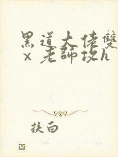 黑道大佬双性受ⅹ老师攻h