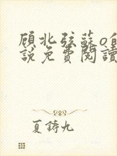 顾北弦苏o的小说免费阅读