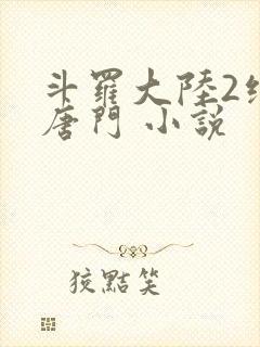 斗罗大陆2绝世唐门 小说