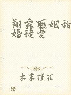 翔霖联姻甜文先婚后爱