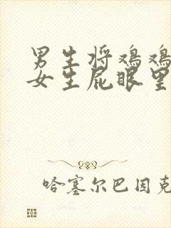 男生将鸡鸡插进女生屁眼里