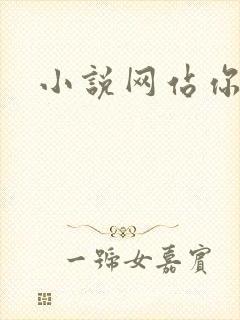 小说网站你懂的
