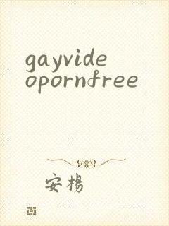 gayvideopornfree