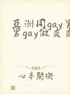 亚洲同gay男男gay做爽爽的视频封面