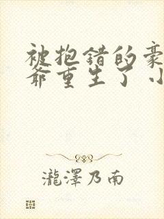 被抱错的豪门少爷重生了 小说