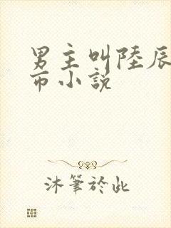 男主叫陆辰的都市小说封面