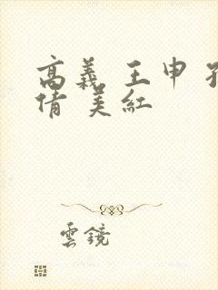 高义 王申 孙倩 美红封面