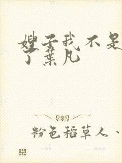 嫂子我不是傻子了叶凡