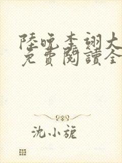 陆晚李翊大结局免费阅读全文封面