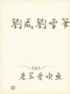 刘成刘雪笔趣阁