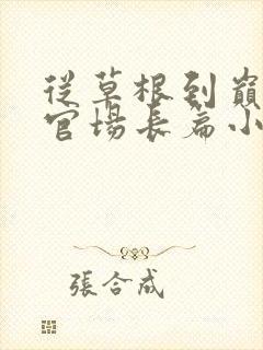 从草根到巅峰的官场长篇小说