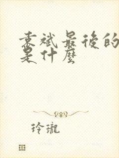 袁斌最后的结局是什么封面