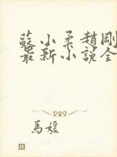 苏小柔赵刚林风最新小说全文阅读封面