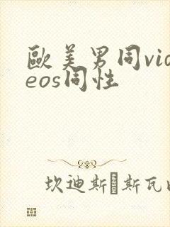 欧美男同videos同性