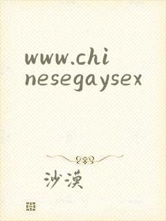www.chinesegaysex