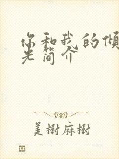 你和我的倾城时光简介