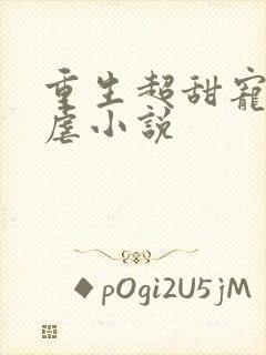 重生超甜宠文无虐小说