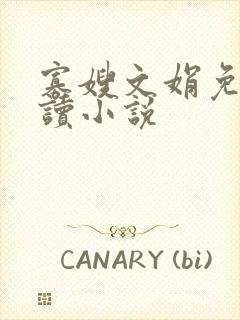 寡嫂文娟免费阅读小说