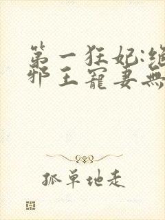 第一狂妃:绝色邪王宠妻无度