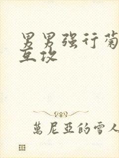 男男强行菊交h互攻