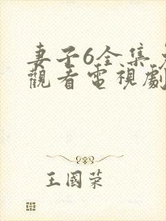 妻子6全集免费观看电视剧第11集封面