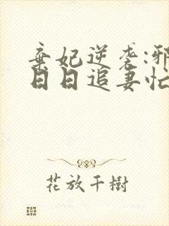 弃妃逆袭:邪王日日追妻忙小说阅读封面