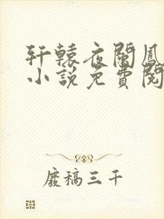 轩辕夜阑凤云倾小说免费阅读笔趣阁