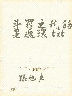 斗罗之我的武魂是魂环 txt