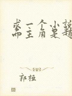 求一个小说,里面主角是赵云