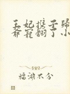 王妃携子归来王爷宠翻了小说封面