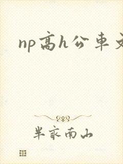 np高h公车文