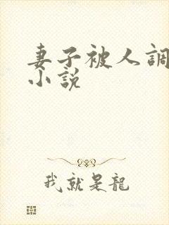 妻子被人调教类小说