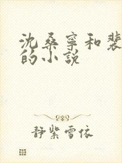 沈桑宁和裴如衍的小说