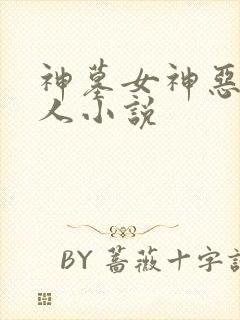 神墓女神恶堕同人小说封面