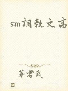 sm调教文高h封面