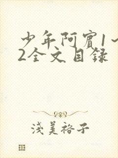 少年阿宾1～72全文目录