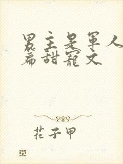 男主是军人的短篇甜宠文