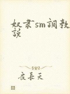 奴隶sm调教小说