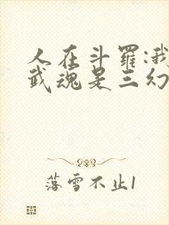 人在斗罗:我的武魂是三幻神