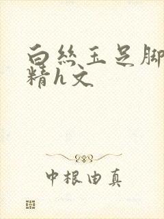 白丝玉足脚交榨精h文封面