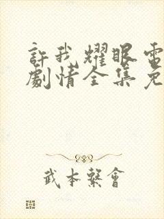 许我耀眼电视剧剧情全集免费观看