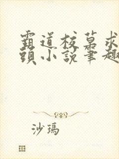 霸道校草求我回头小说笔趣阁