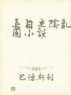 长日光阴乱作一团小说