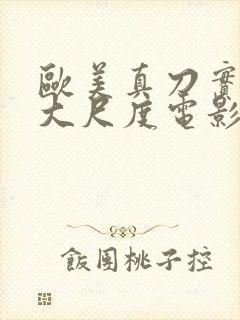 欧美真刀实干的大尺度电影封面