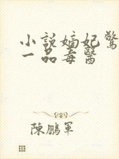 小说嫡妃惊华:一品毒医封面