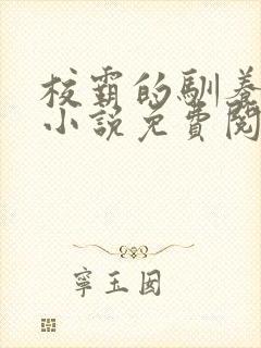 校霸的驯养方法小说免费阅读