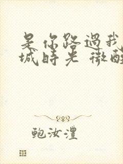 是你路过我的倾城时光 微酸袅袅