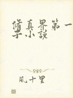 修真界第一病秧子小说