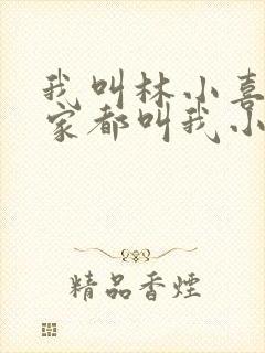 我叫林小喜 大家都叫我小喜小说