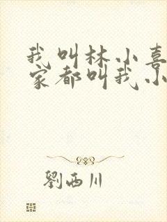 我叫林小喜 大家都叫我小喜小说封面